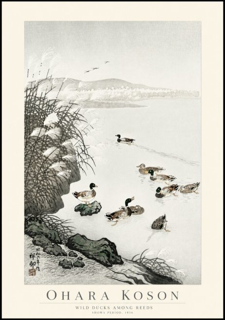 Ohara Koson Wild Ducks Among Reeds No1 - Plakát