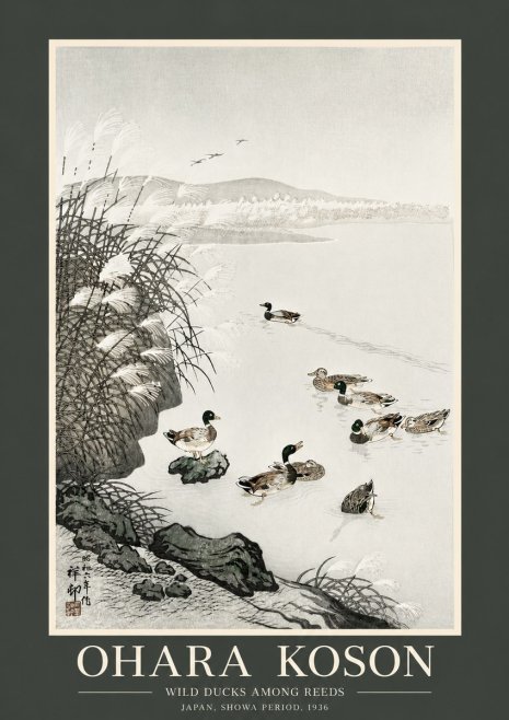 Ohara Koson Wild Ducks Among Reeds No2 - Plakát