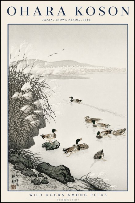 Ohara Koson Wild Ducks Among Reeds No3 - Plakát