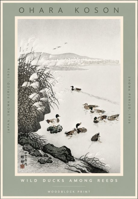Ohara Koson Wild Ducks Among Reeds No4 - Plakát