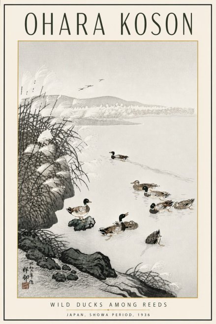 Ohara Koson Wild Ducks Among Reeds No5 - Plakát