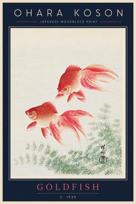 Ohara Koson Goldfish No5 - Plakát