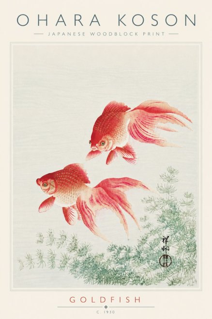 Ohara Koson Goldfish No6 - Plakát