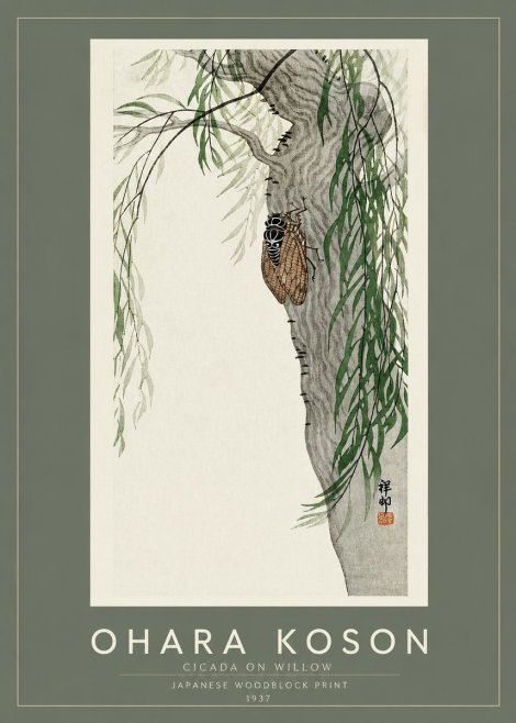 Ohara Koson Cicada on Willow No2 - Plakát