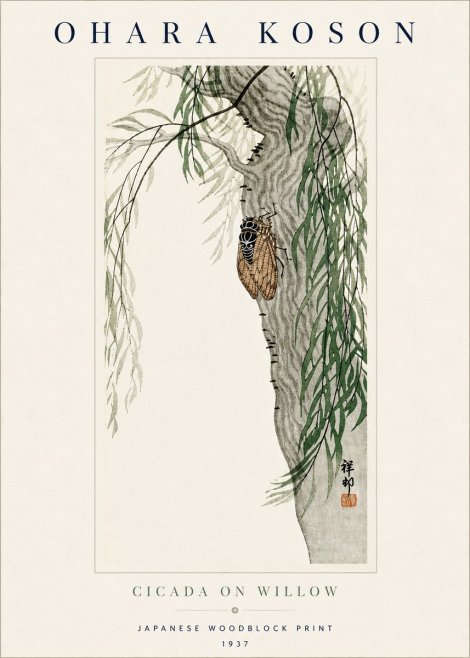 Ohara Koson Cicada on Willow No5 - Plakát