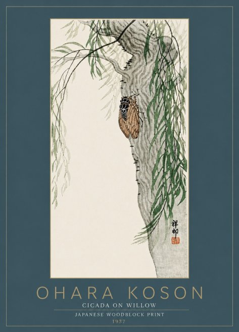 Ohara Koson Cicada on Willow No6 - Plakát