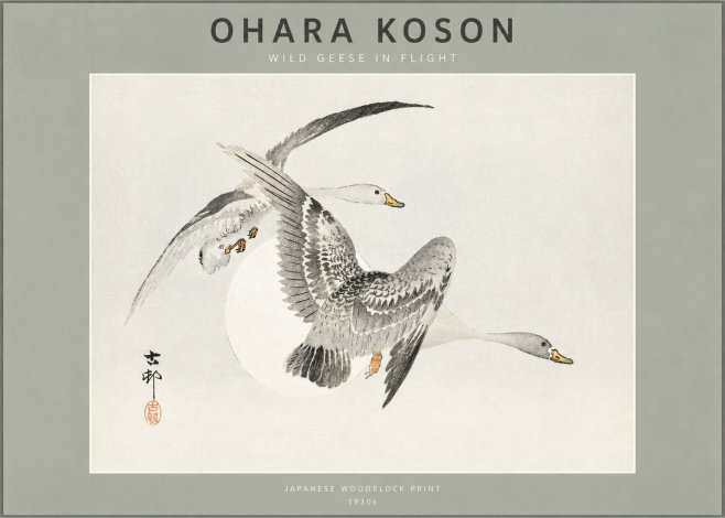 Ohara Koson Wild Geese in Flight I No2 - Plakát