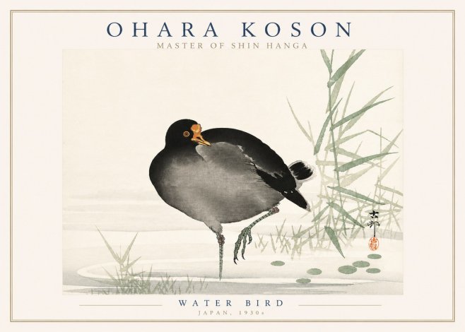 Ohara Koson Water Bird No3 - Plakát