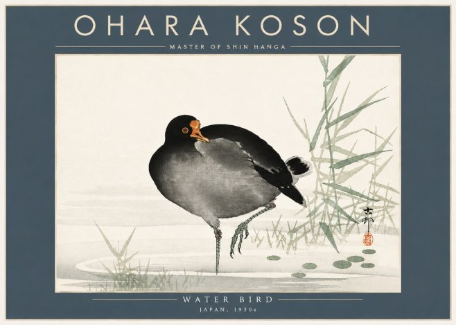 Ohara Koson Water Bird No5 - Plakát