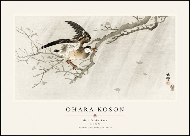 Ohara Koson Bird in the Rain No1 - Plakát