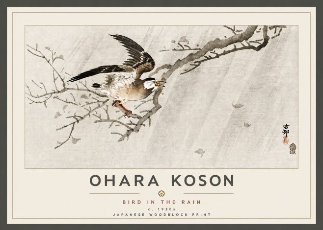 Ohara Koson Bird in the Rain No5 - Plakát