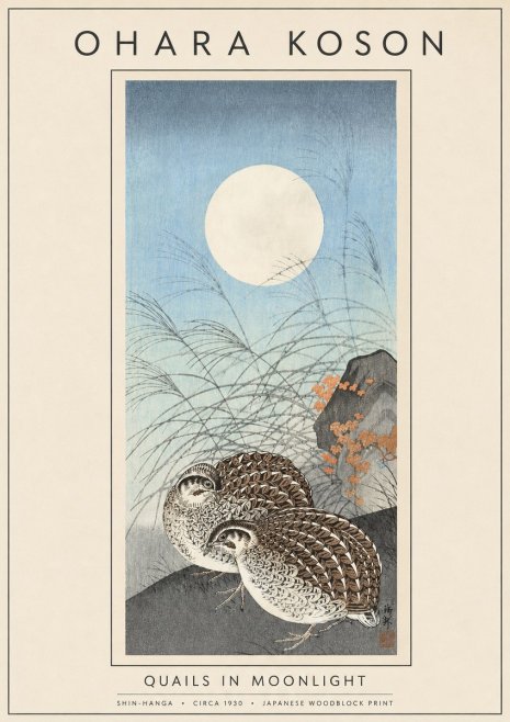 Ohara Koson Quails in Moonlight No5 - Plakát