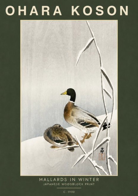 Ohara Koson Mallards in Winter No5 - Plakát