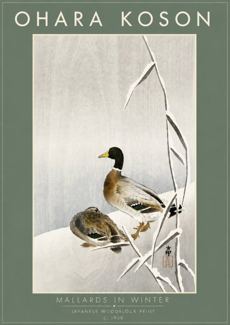 Ohara Koson Mallards in Winter No6 - Plakát