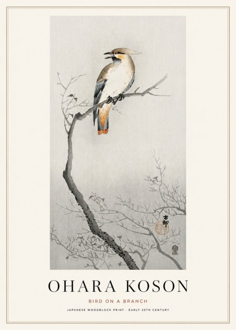 Ohara Koson Bird on a Branch I No1 - Plakát