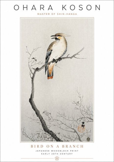 Ohara Koson Bird on a Branch I No3 - Plakát