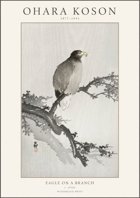 Ohara Koson Eagle on a Branch I No1 - Plakát
