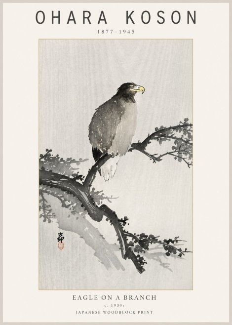 Ohara Koson Eagle on a Branch I No2 - Plakát