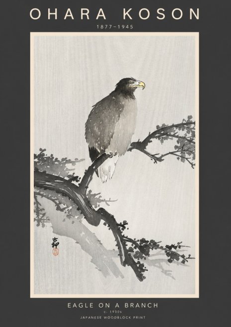 Ohara Koson Eagle on a Branch I No3 - Plakát