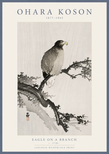 Ohara Koson Eagle on a Branch I No5 - Plakát