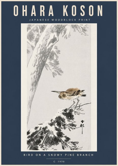 Ohara Koson Bird on a Snowy Pine Branch No5 - Plakát