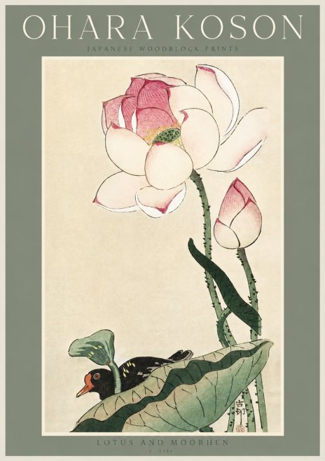 Ohara Koson Lotus and Moorhen No3 - Plakát