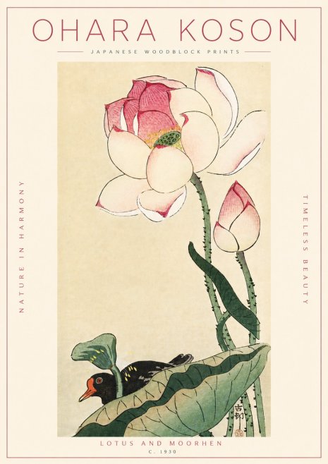 Ohara Koson Lotus and Moorhen No4 - Plakát