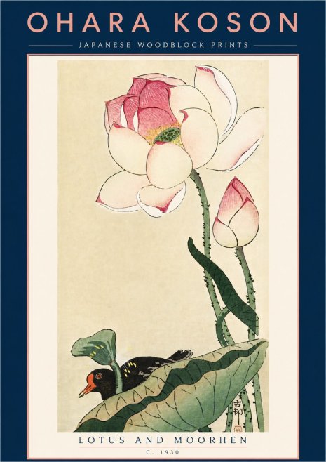 Ohara Koson Lotus and Moorhen No5 - Plakát