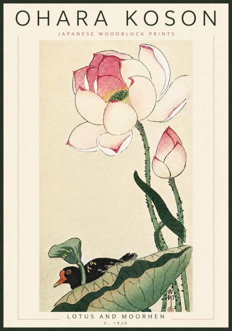 Ohara Koson Lotus and Moorhen No6 - Plakát