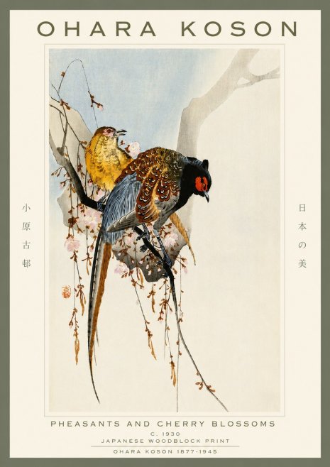 Ohara Koson Pheasants and Cherry Blossoms I No4 - Plakát