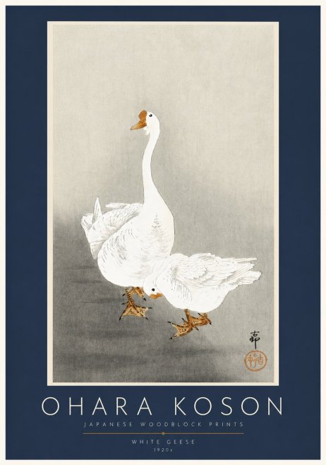 Ohara Koson White Geese No2 - Plakát