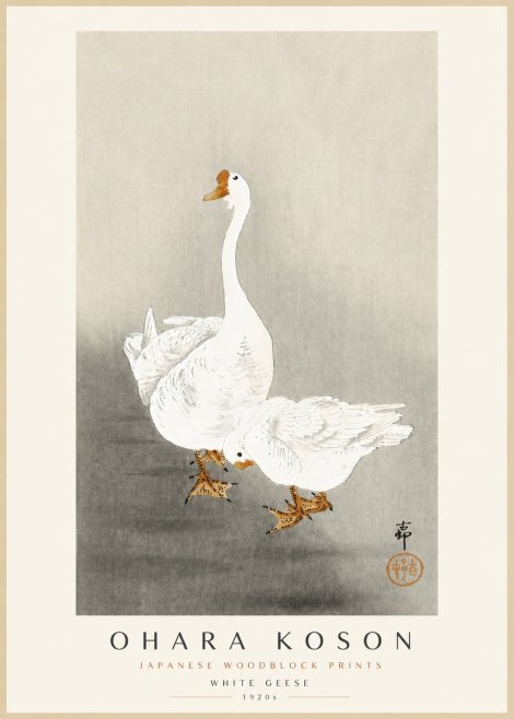 Ohara Koson White Geese No3 - Plakát