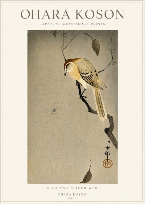 Ohara Koson Bird and Spider Web I No3 - Plakát