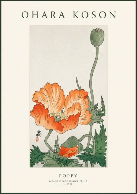 Ohara Koson Poppy No1 - Plakát