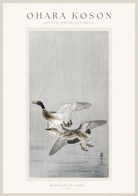 Ohara Koson Wild Ducks in Flight No1 - Plakát