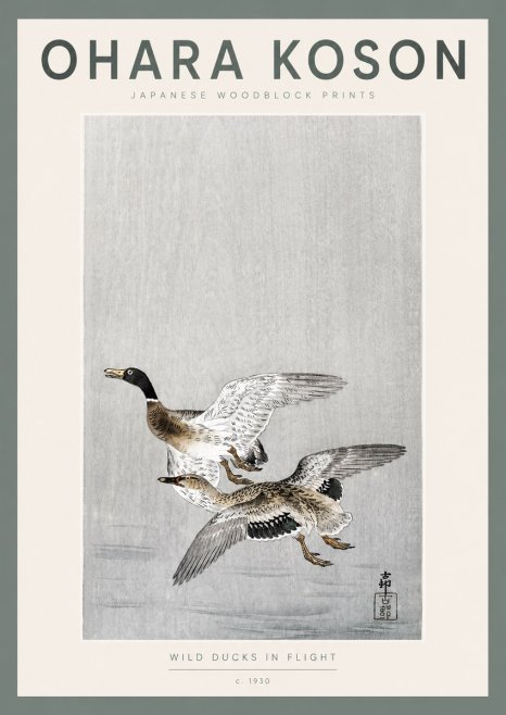 Ohara Koson Wild Ducks in Flight No2 - Plakát