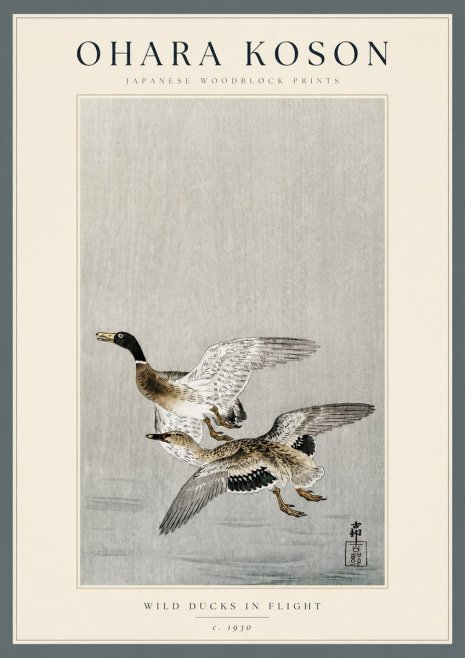 Ohara Koson Wild Ducks in Flight No3 - Plakát
