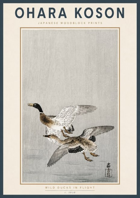 Ohara Koson Wild Ducks in Flight No4 - Plakát