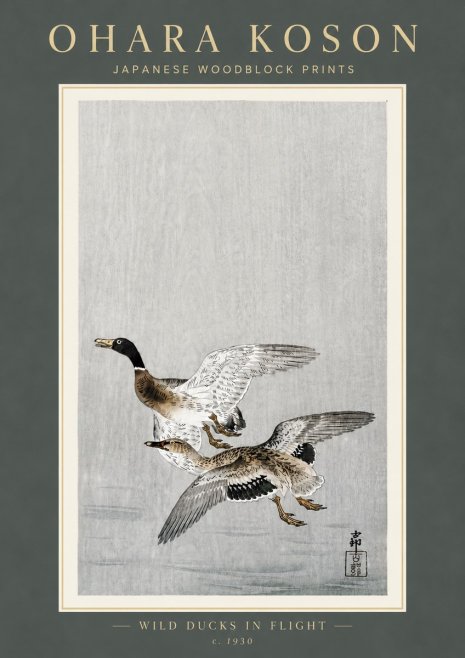Ohara Koson Wild Ducks in Flight No6 - Plakát