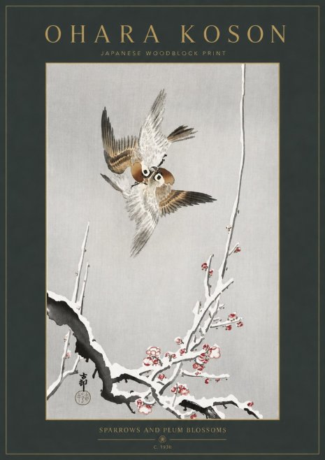 Ohara Koson Sparrows and Plum Blossoms No3 - Plakát
