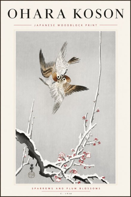 Ohara Koson Sparrows and Plum Blossoms No5 - Plakát