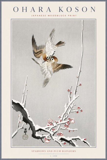 Ohara Koson Sparrows and Plum Blossoms No6 - Plakát
