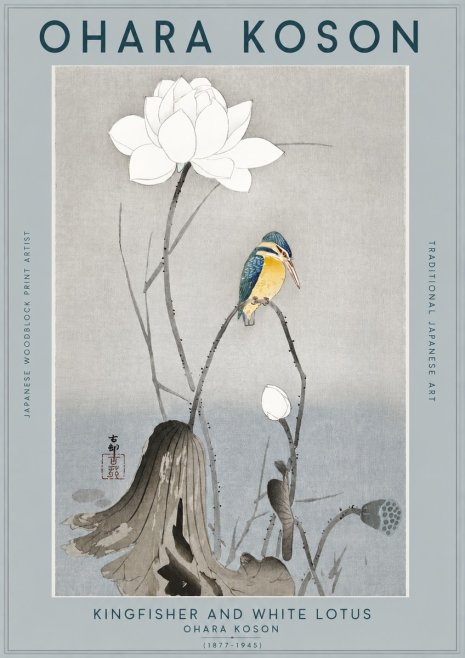 Ohara Koson Kingfisher and White Lotus No2 - Plakát
