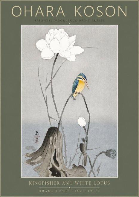Ohara Koson Kingfisher and White Lotus No5 - Plakát