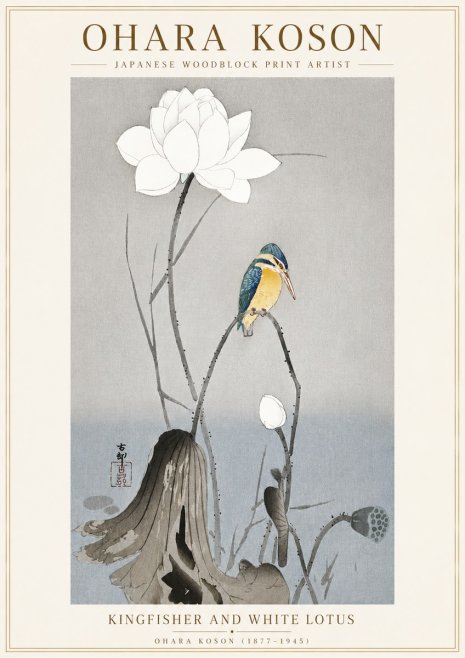 Ohara Koson Kingfisher and White Lotus No6 - Plakát