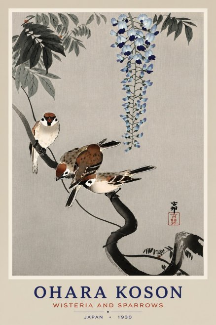 Ohara Koson Wisteria and Sparrows No4 - Plakát