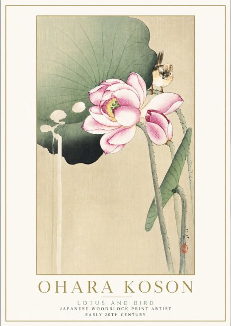 Ohara Koson Lotus and Bird No5 - Plakát