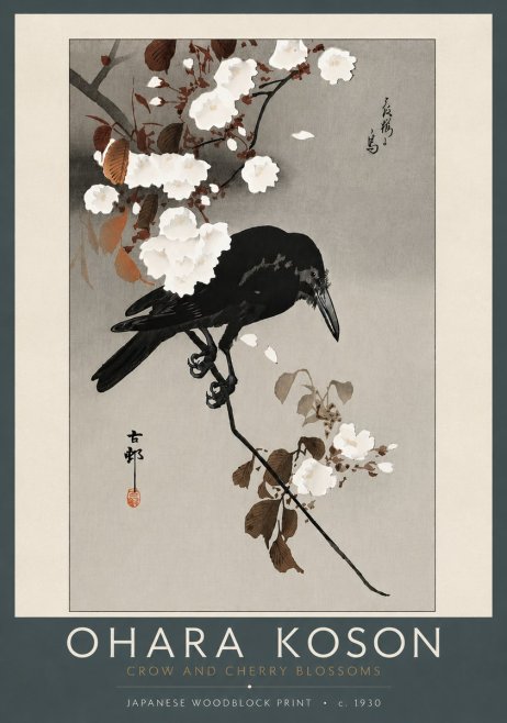 Ohara Koson Crow and Cherry Blossoms No5 - Plakát