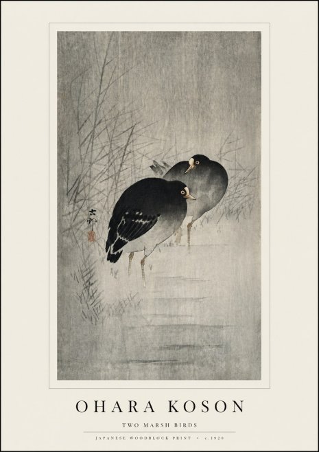 Ohara Koson Two Marsh Birds No3 - Plakát