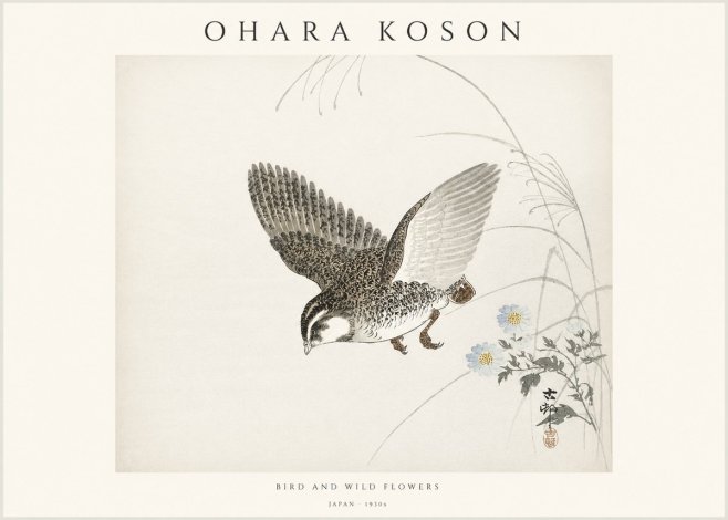 Ohara Koson Bird and Wild Flowers No1 - Plakát